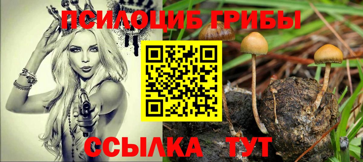 Саранск  Галлюциногенные грибы Magic Shrooms  Вход с VPN 