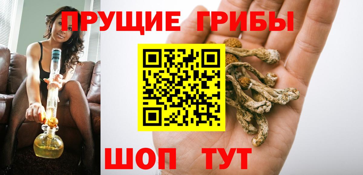 Галлюциногенные грибы Psilocybine cubensis Саранск